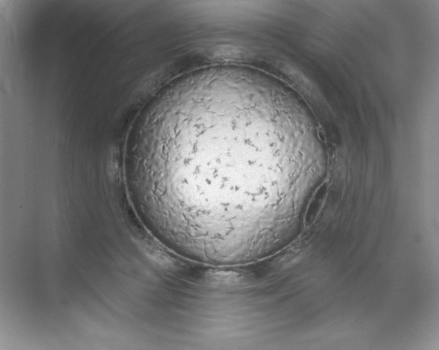 X0000071940361200607212206