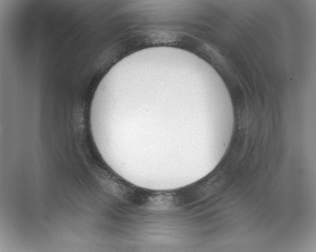 X0000071940362200607212206