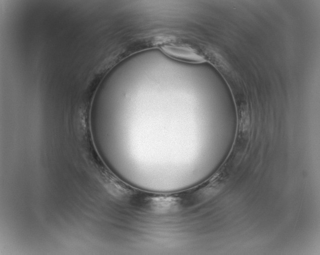 X0000071940363200607212206