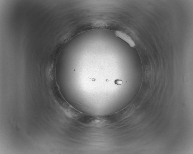 X0000071940364200607212206