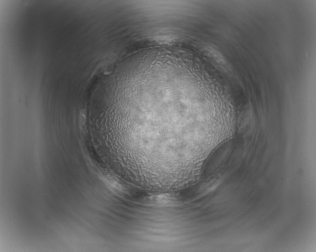 X0000071940365200607212206