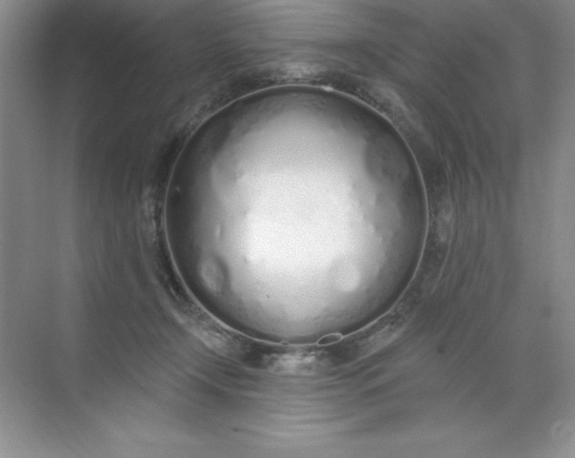 X0000071940366200607212206