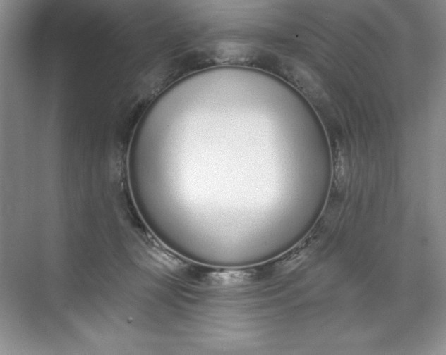 X0000071940367200607212206