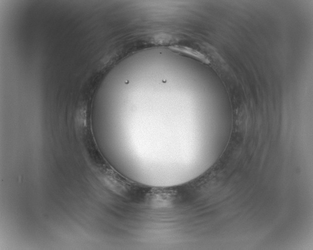 X0000071940368200607212206