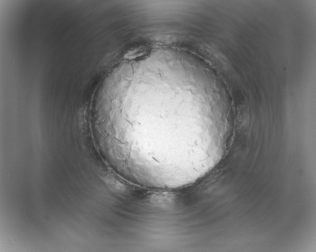 X0000071940369200607212206