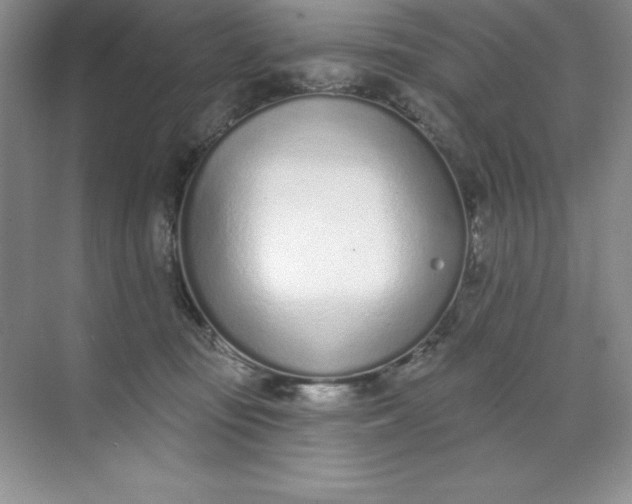 X0000071940371200607212207