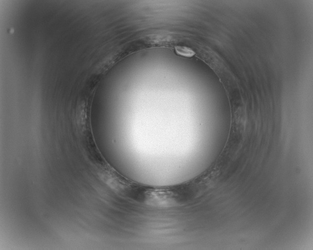 X0000071940372200607212207