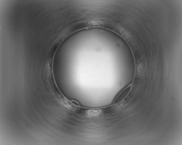 X0000071940373200607212207