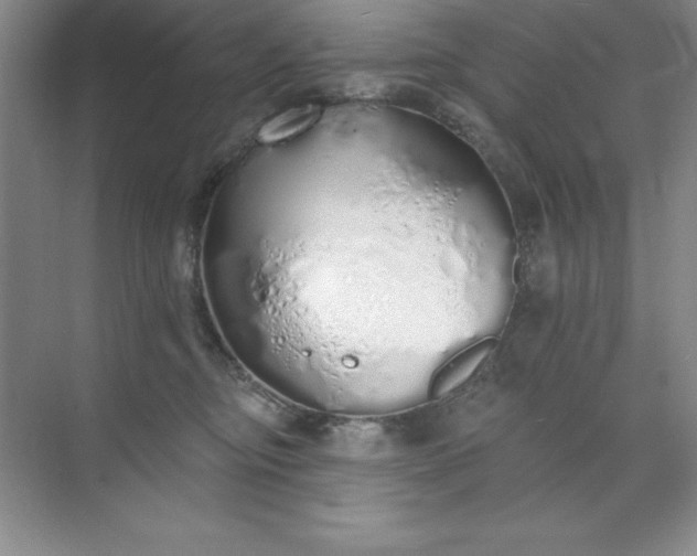 X0000071940374200607212207