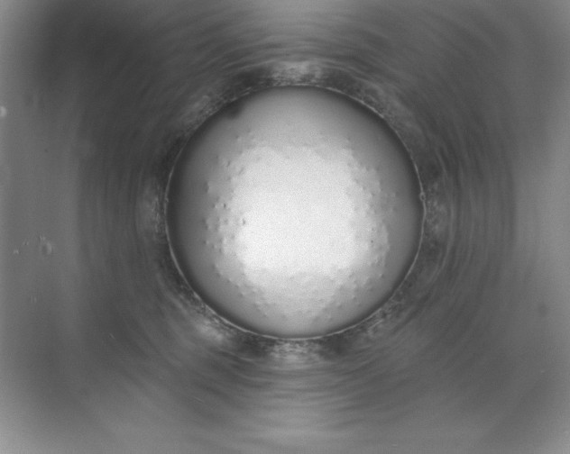 X0000071940375200607212207