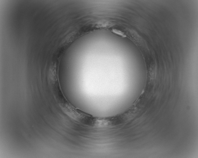 X0000071940376200607212207