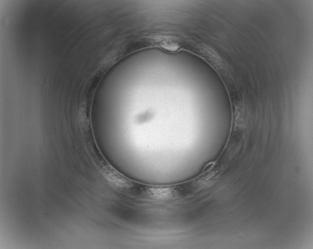 X0000071940377200607212207