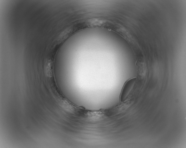 X0000071940378200607212207