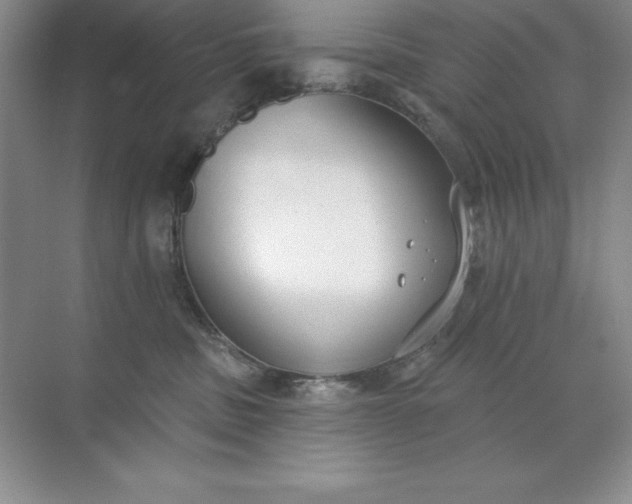 X0000071940379200607212207