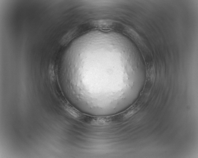 X0000071940381200607212207