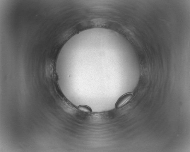 X0000071940382200607212207