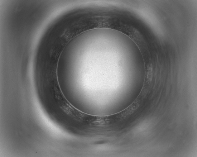 X0000071940383200607212207