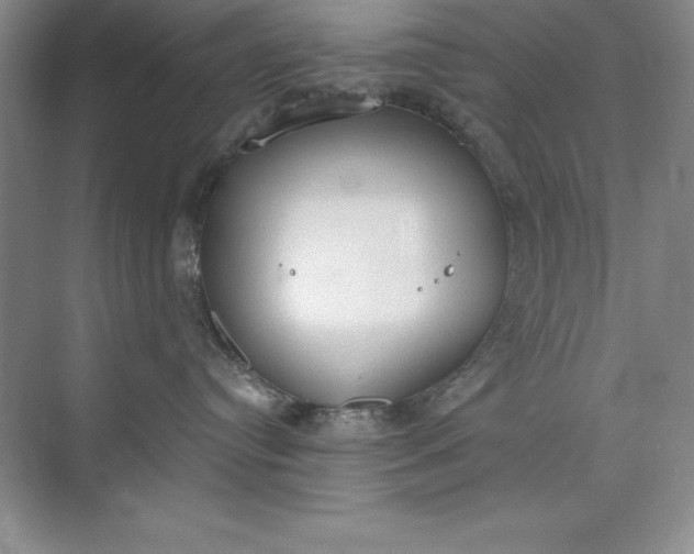 X0000071940384200607212207