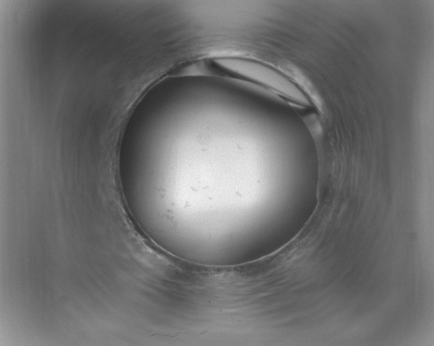 X0000071940385200607212206