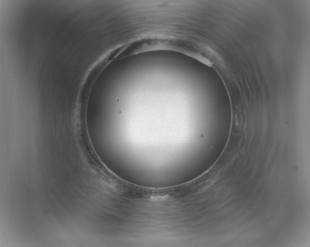 X0000071940388200607212206