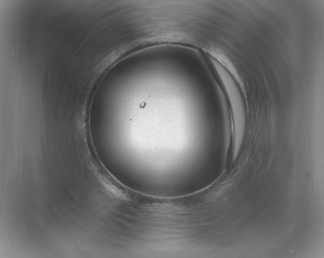 X0000071940389200607212206