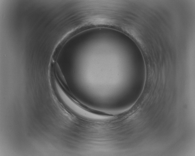 X0000071940391200607212206