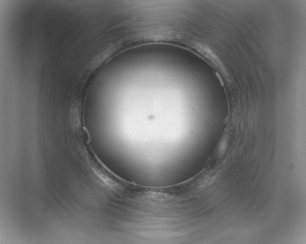 X0000071940393200607212206