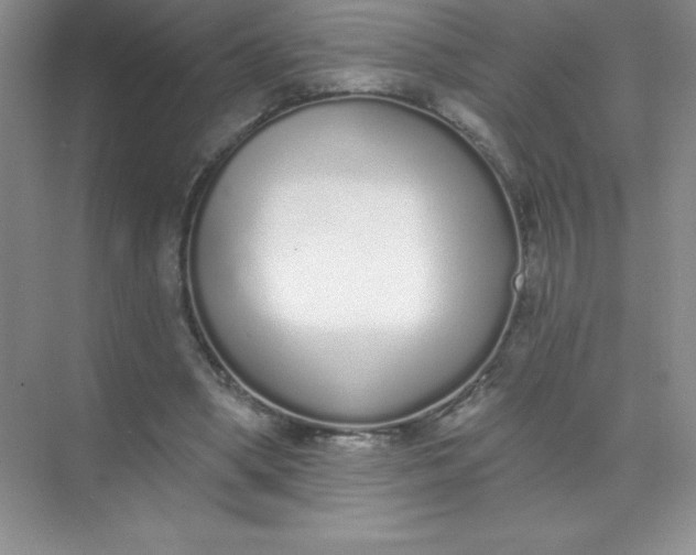 X0000071940394200607212206