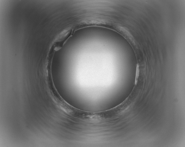 X0000071940395200607212206