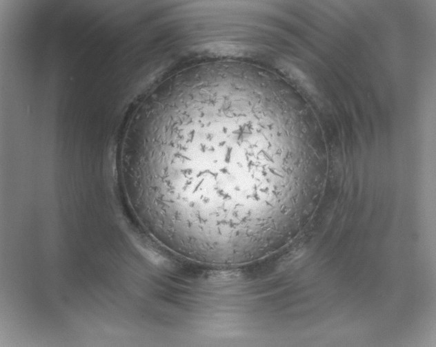 X0000071940398200607212206