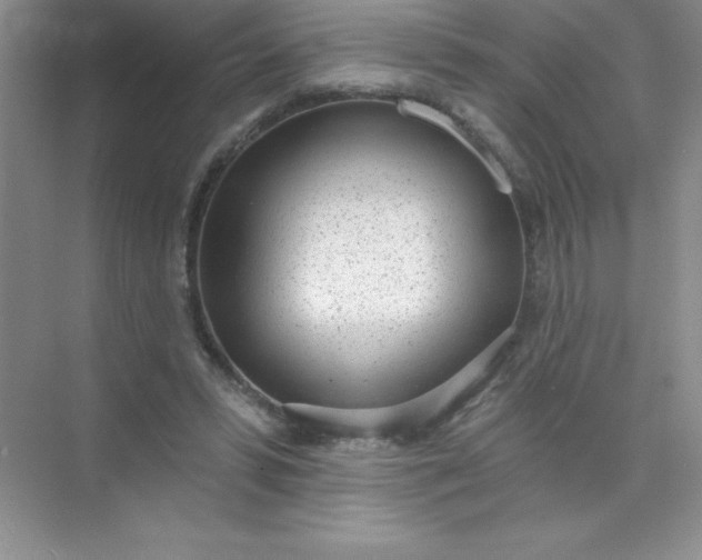 X0000071940399200607212206