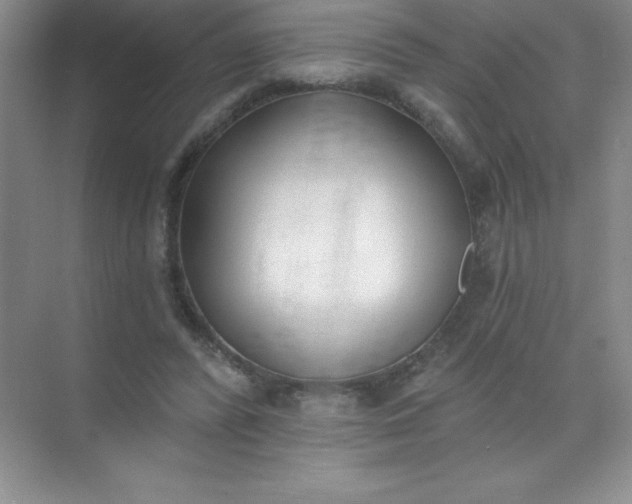 X0000071940400200607212206