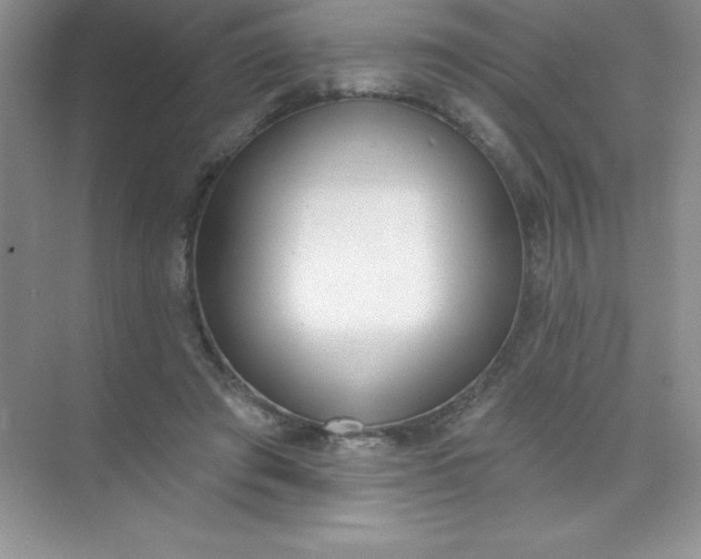 X0000071940401200607212206