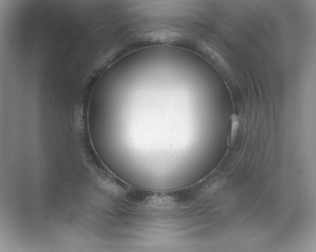 X0000071940403200607212206