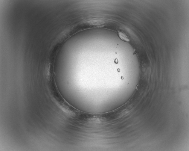 X0000071940404200607212206