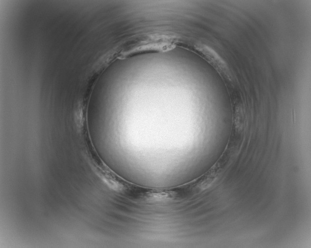 X0000071940405200607212206