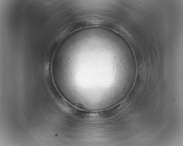 X0000071940406200607212206