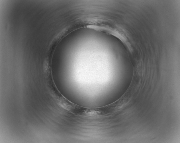 X0000071940407200607212206