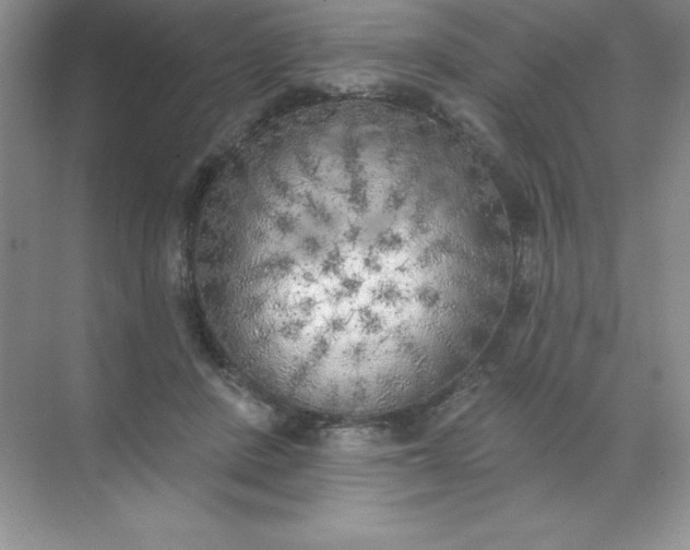 X0000071940408200607212206