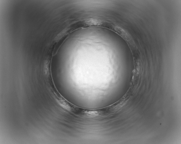 X0000071940409200607212206