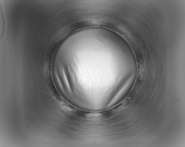 X0000071940410200607212206