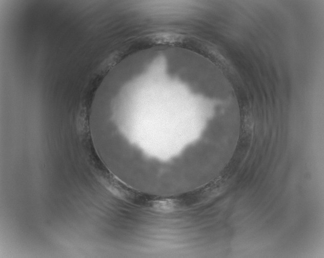 X0000071940411200607212206