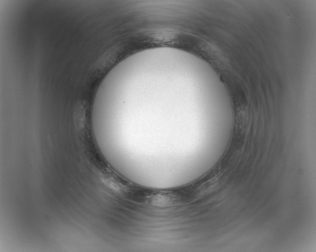 X0000071940412200607212205