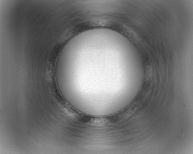 X0000071940414200607212205