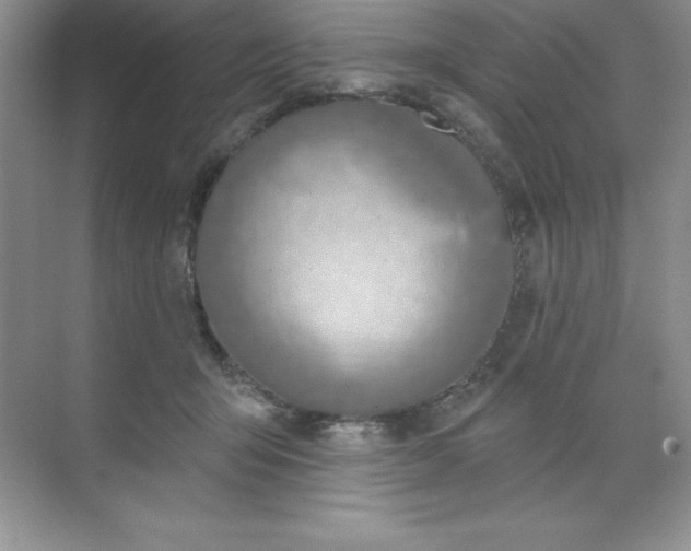 X0000071940415200607212205