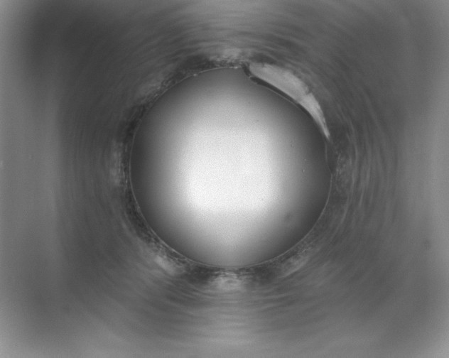 X0000071940416200607212205