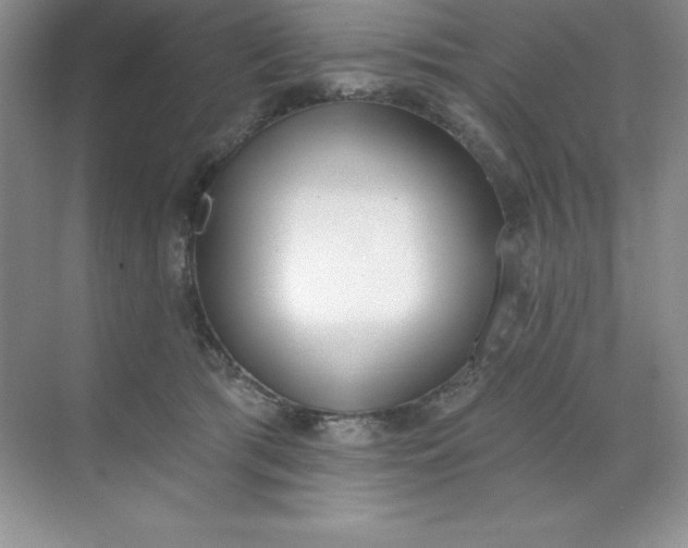 X0000071940417200607212205