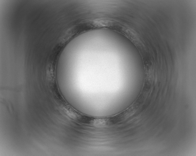 X0000071940418200607212205