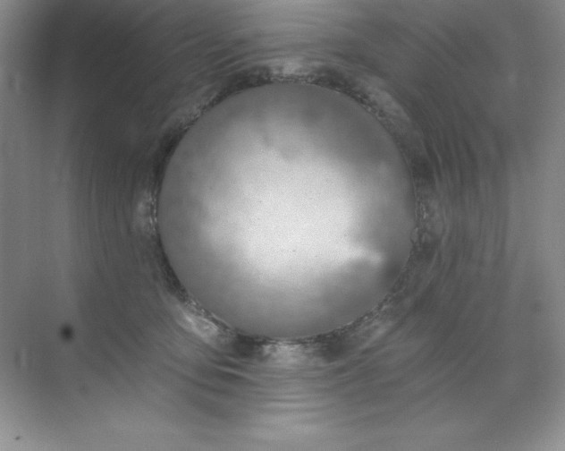 X0000071940419200607212205