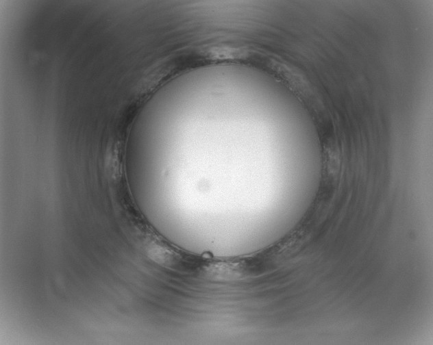 X0000071940422200607212205